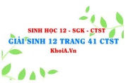 Giải Sinh 12 trang 41 Chân trời Sáng tạo